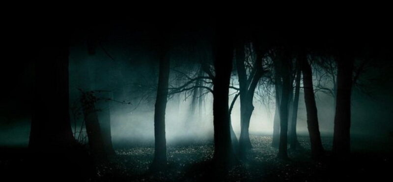 The Forest Verlass Nie Den Weg